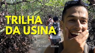 EXPLORANDO ITACARÉ Bahia TRILHA ÉPICA da USINA à Deslumbrante PRAIA de JERIBUCAÇU [upl. by Ttebroc]