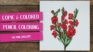 Copic and Colored Pencil Coloring  Power Poppy Gladioli Digital Stamp [upl. by Saimerej]