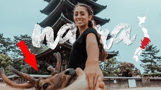 Ein MUST DO in Japan ∙ Tagesausflug nach Nara ∙ Weltreise Vlog69 [upl. by Airtened666]