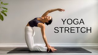 15 Minute Yoga Stretch Break  Open Your Body amp Feel Amazing [upl. by Edelman223]