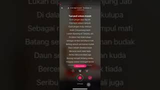 Dayang Nurfaizah Hael Husaini  Gurindam Jiwa Karaoke Version [upl. by Hrutkay631]