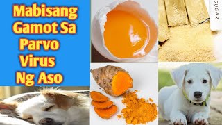 MABISANG GAMOT SA PARVO VIRUS NG ASO  HOME REMEDY  HOW TO TREAT PARVO IN DOG [upl. by Monroe905]