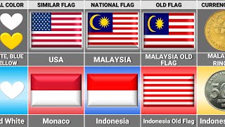 Malaysia vs Indonesia  Country Comparison [upl. by Airemat101]