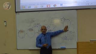 Changes in embryoblast  embryo [upl. by Westberg]