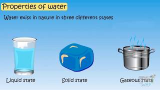 uses of water  Importance of water water and its uses  uses of water for kids use of water [upl. by Madlin889]