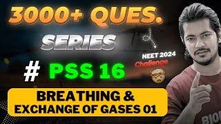 Breathing amp Exchange of Gases 01  PSS 16  3000 Questions Series neet2024 [upl. by Ravel]