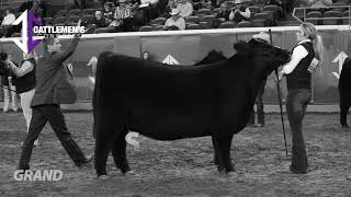 2024 Cattlemens Congress amp NWSS [upl. by Harrington361]