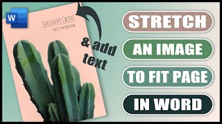 How to stretch a PICTURE TO FIT page in word  TEXT ON AN IMAGE in word [upl. by Eenet]