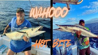 Exmouth Fishing Wahoo going OFF [upl. by Sula]