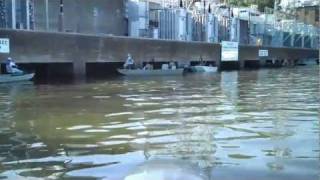 Fishing at Wheeler Dam Alabama [upl. by Zuleika]