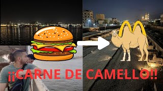 HAMBURGUESAS DE CARNE DE CAMELLO  Luxor Parte 3  Egipto [upl. by Laurin]