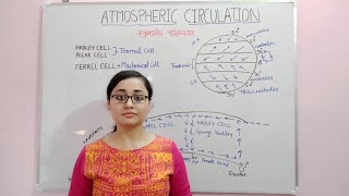 Atmospheric Circulation  Hadley Cell Ferrel Cell Polar Cell Easterlies amp Westerlies  Geography [upl. by Ahsoem585]