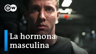 Testosterona  La fuerza motriz de los hombres  DW Documental [upl. by Attikram]