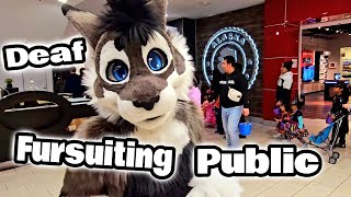 Silent Fursuiting Fun in Busy Mall [upl. by Cristoforo]