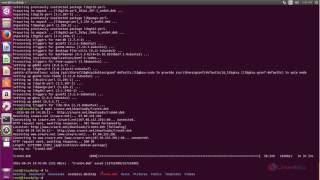 How to install SRware iron browser in Ubuntu [upl. by Mulloy141]