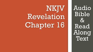 Revelation 16  NKJV  Audio Bible amp Text [upl. by Lillie700]