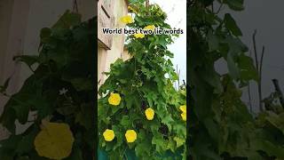 Ulagathile Rendu poigalmotivation tamil inspirationytshorts gardening [upl. by Sieracki]