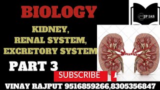 Nephron PCT DCTLOH Bowmans capsule function of kidney for UPSC PSC Vinay siruppsc [upl. by Cato665]