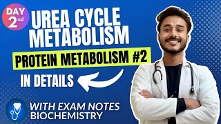 Urea cycle biochemistry  urea synthesis biochemistry  protein metabolism biochemistry [upl. by Ayikur748]