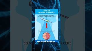 What is cancer immunotherapy  cancer [upl. by Athallia]