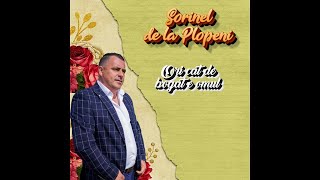 SORINEL DE LA PLOPENI  ARE TATA DOI BAIETI [upl. by Scotney790]