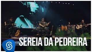 Raimundos  Sereia da Pedreira DVD Acústico Vídeo Oficial [upl. by Anoyek714]