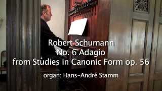 R Schumann Adagio No 6 from Studies in Canonic Form op 56 [upl. by Llesig]