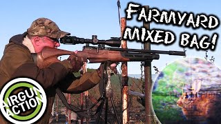 Airgun Action  Shooting magpies pigeons amp rabbits on the farm  BSA R12 CLX Pro review [upl. by Myrah]