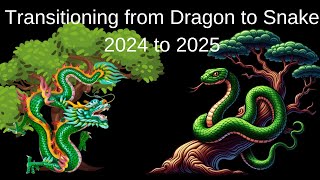 Transitioning from 2024 to 2025 – the highflying Dragon gives way to the sensitive practical Snake [upl. by Fortunna602]