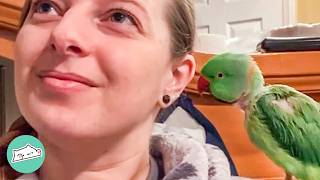 Tiny Parrot Started Talking Like An Old Lady Everyones Confused  Cuddle Buddies [upl. by Shing]