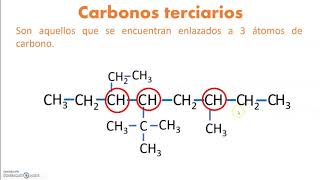 Carbonos primarios secundarios terciarios y cuaternarios [upl. by Alleb]