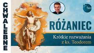 Różaniec Teobańkologia Krótkie rozważania z ks Teodorem 1211 Niedziela [upl. by Nnayllehs]