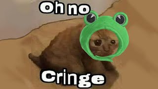 oh no cringecat [upl. by Lopes]