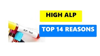 HIGH ALP LEVELS  TOP 14 REASONS [upl. by Yrdnal]