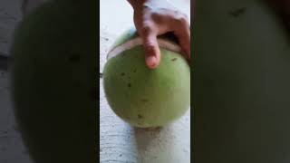 cutting of calabash fruit calabash fruit healthbenefits short 500subs [upl. by Mizuki]