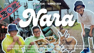 Day Trip to NARA from Osaka [upl. by Behrens]