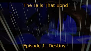 The Tails That Bond Episode 1 Destiny Sonic SFM [upl. by Sheff]