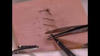 How to Perform a Simple Running Skin Closure suture travel on top [upl. by Torrin362]