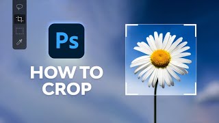 How to Crop in Photoshop [upl. by Asiulairam966]