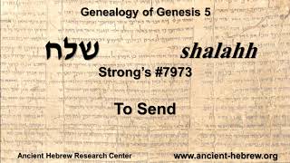 The Genealogy of Genesis 5 [upl. by Rew]