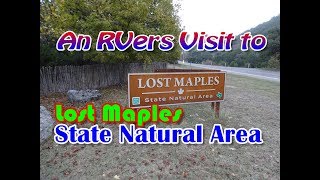 RV Camping Lost Maple State Park Vanderpool  TX [upl. by Lora]