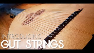 Introducing Gut Strings [upl. by Rind]