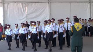 OshKosh Drill Competition 2014 [upl. by Ecnarretal]