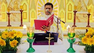 Sunday Holy Mass November 12 I 530 AM I Malayalam I Syro Malabar I Fr Bineesh Augustine [upl. by Einafets]