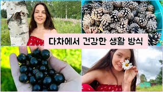 다차에서 건강한 생활 방식을 선도하는데 건초를 치우고 몸을 따뜻하게 해요  러시아사람 🇷🇺❤️🇰🇷 [upl. by Enined]