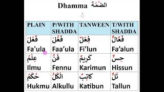 Arabic Diacritical Marks Tashkeel Harakat حركات تشكيل [upl. by Julius661]