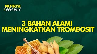 Cara Alami Meningkatkan Trombosit saat Demam Berdarah Dengue  Nutrisi amp Herbal 6 [upl. by Ecinna]