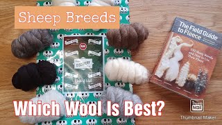 What Type Of Sheep Produce What Type Of Wool  Needle Felting Essentials  Needle Felting Tutorials [upl. by Niloc]