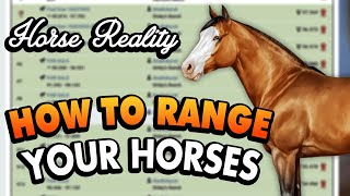 How to Range Your Horses  My Quarter Horse Project Update Horse Reality [upl. by Aketal]