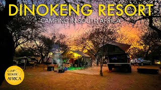 Camping in the Dinokeng Game Reserve  Dinokeng Resort  Overlanding South Africa [upl. by Heber]